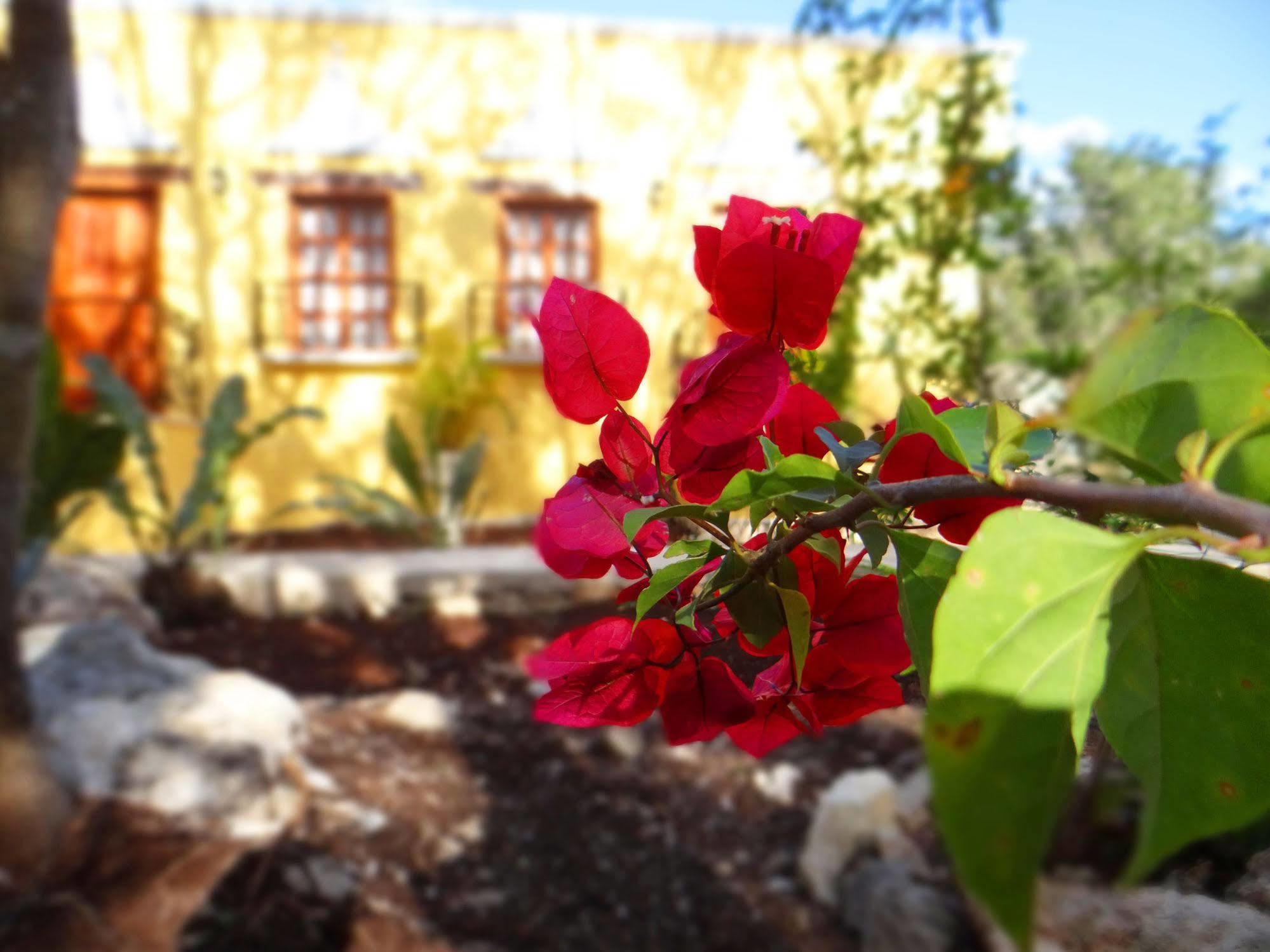 Hacienda Coba B&B 외부 사진